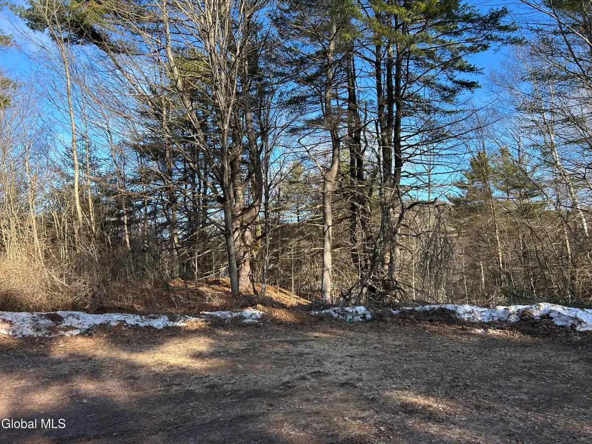 0 County Route 21 Off, Hampton, NY 12887 - #1