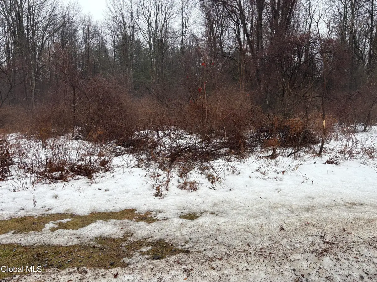 210 Daketown Road, Greenfield, NY 12833 - #1