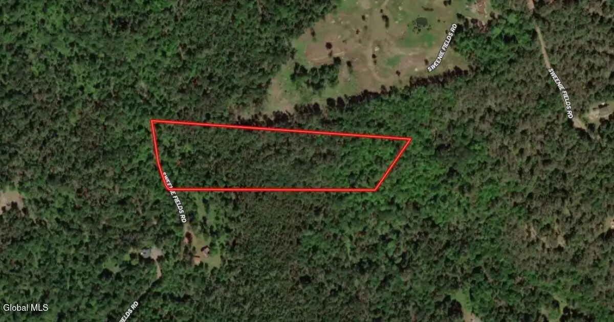 L21 Hoffman Road, Schroon, NY 12870 - #1