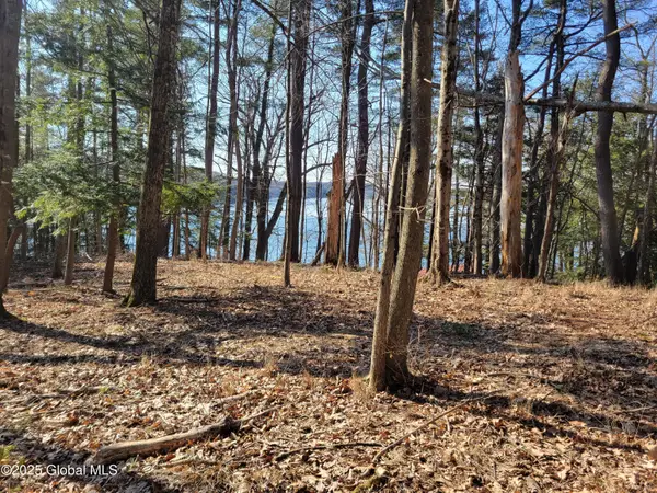 56 Blue Heron Drive Drive #Lot 2, Sand Lake, NY 12018