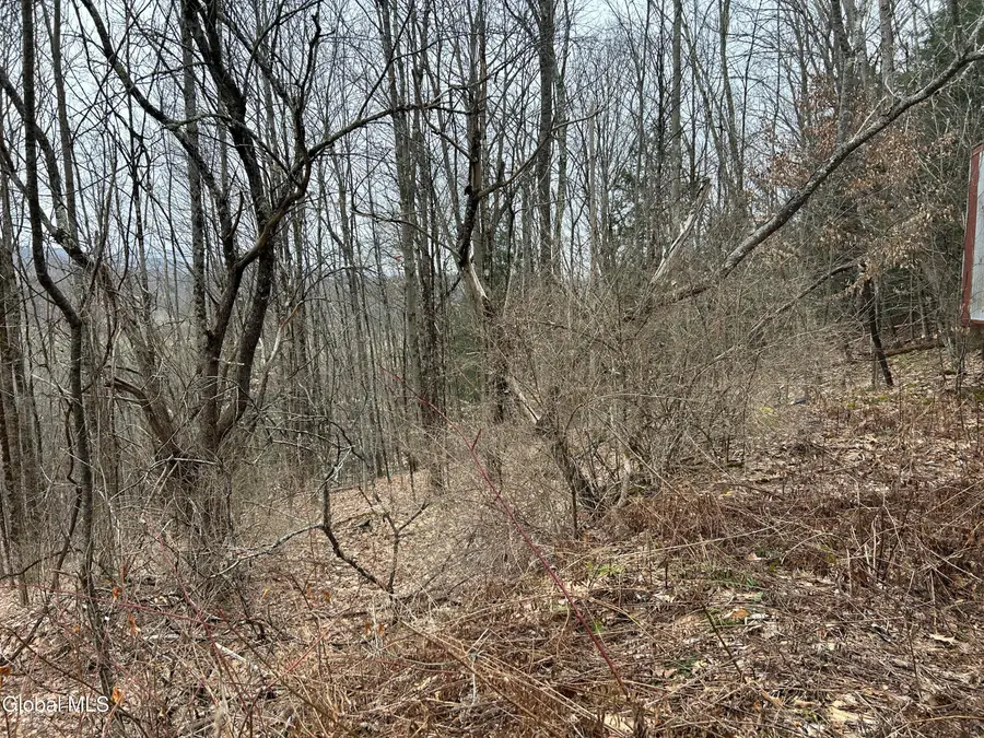 135 Clark Way, Hebron, NY 12865 - #3