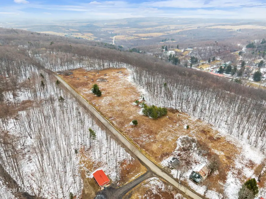 184 Beechwood Road, Sharon Springs, NY 13459 - #2