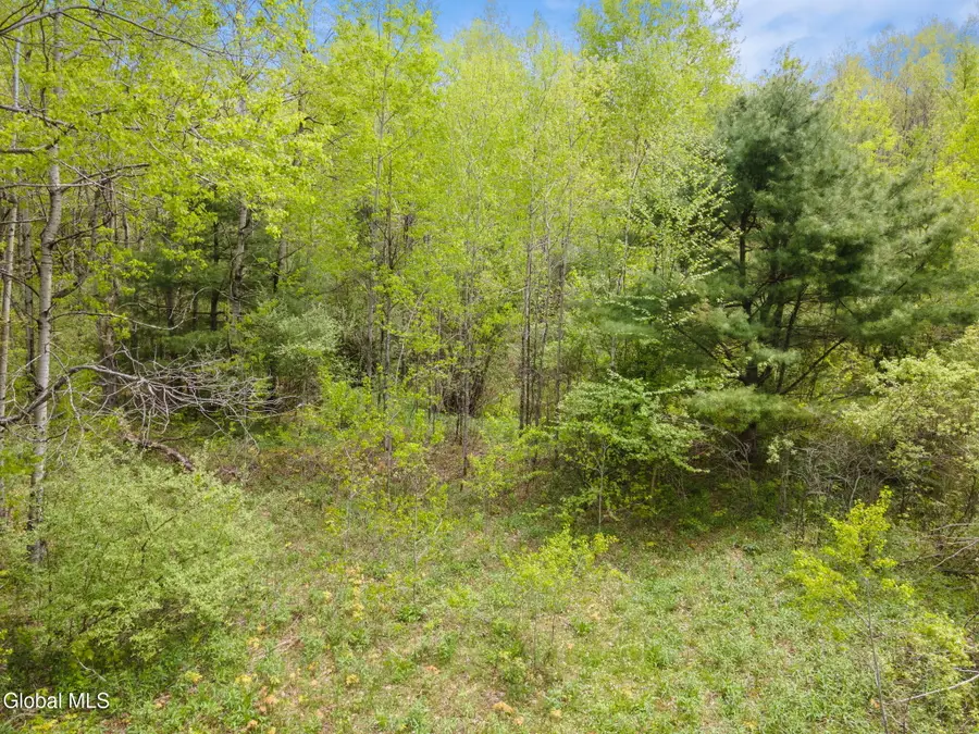 L11 Sternberg Road, Jefferson, NY 12167 - #2