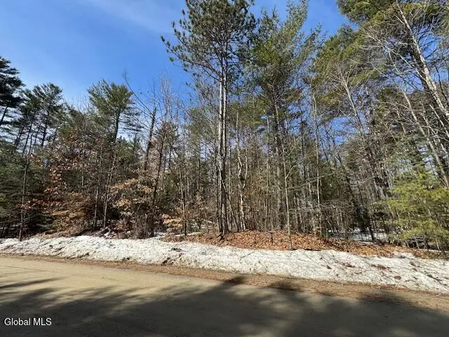 204 Mountain Path, Johnsburg, NY 12853 - #2