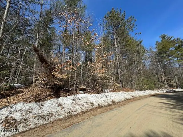 204 Mountain Path, Johnsburg, NY 12853 - #3