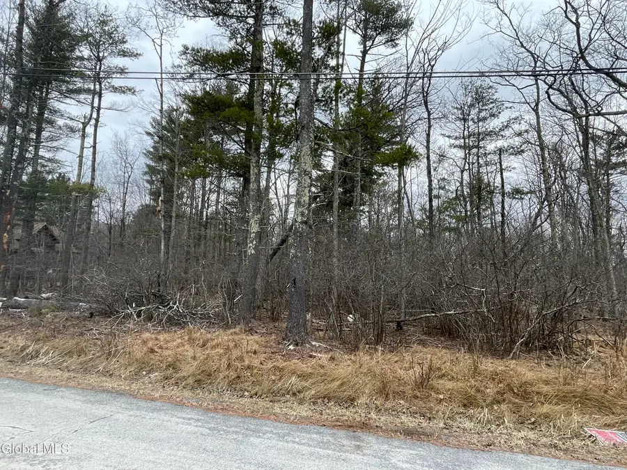 L40.000 Stone Mt Road, Round Top, NY 12473 - #2