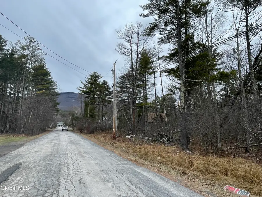 L40.000 Stone Mt Road, Round Top, NY 12473 - #3