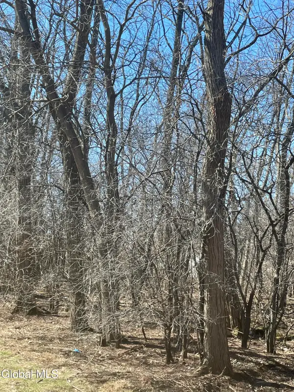 L 27 Stevenson Street, Schenectady, NY 12308