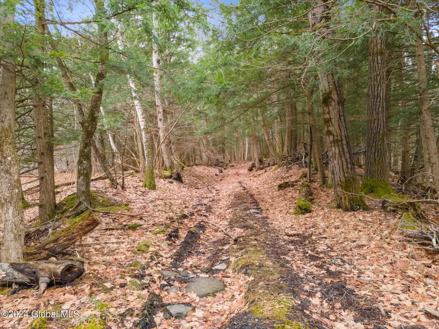 L18.1 Engle Road, Schoharie, NY 12157 - #2