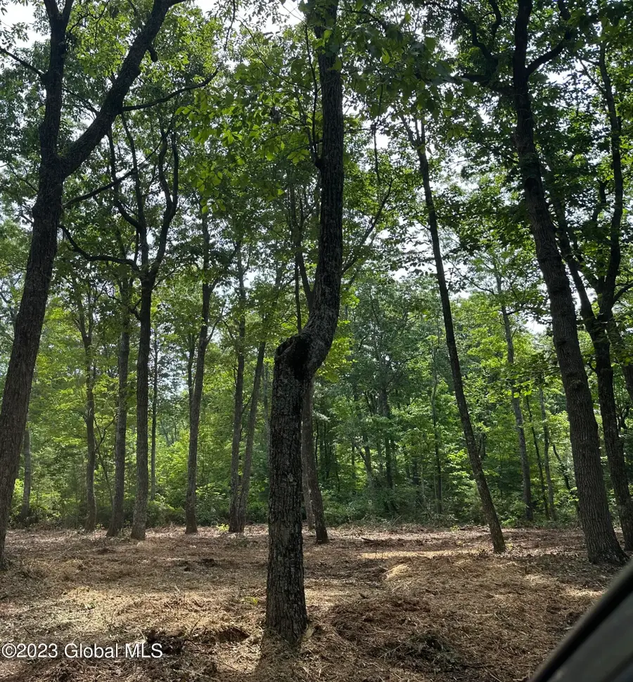 52 Totem Lodge Road, Nassau, NY 12123 - #2