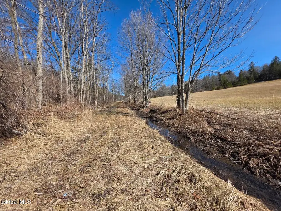 L28 Highway Route 20, Sharon Springs, NY 13459 - #3