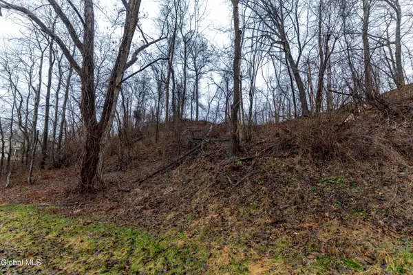 94 Briar Avenue, Albany, NY 12203