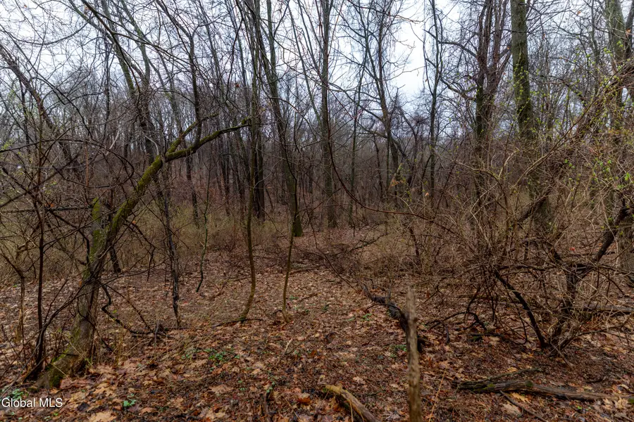 94 Briar Avenue, Albany, NY 12203 - #3