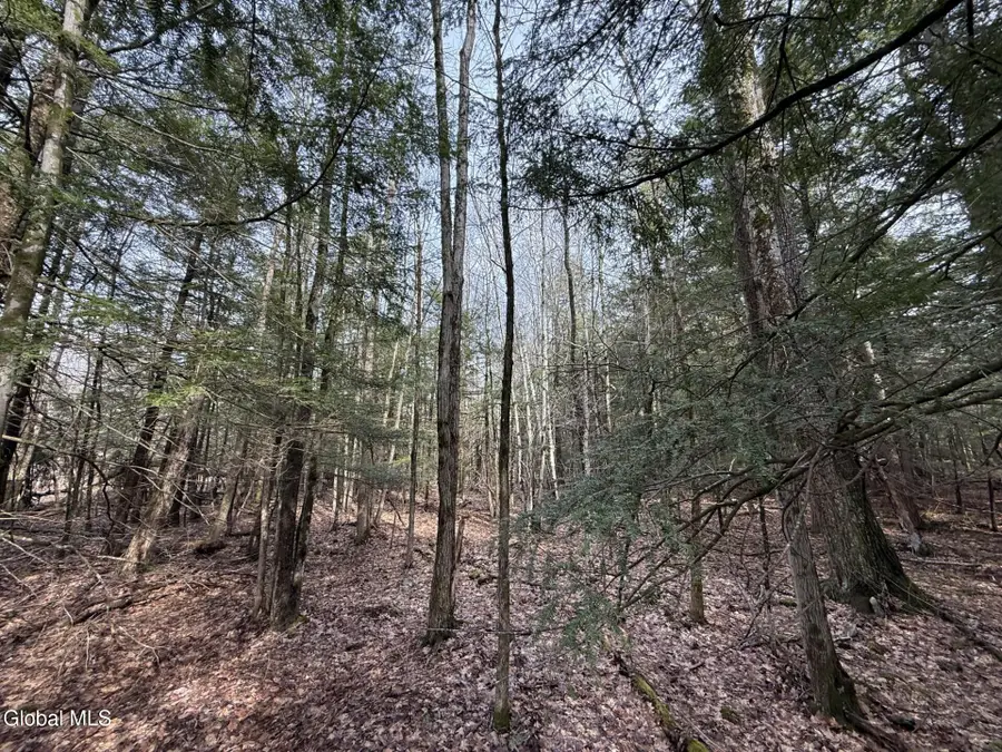 0 Becker Road, Middleburgh, NY 12122 - #2