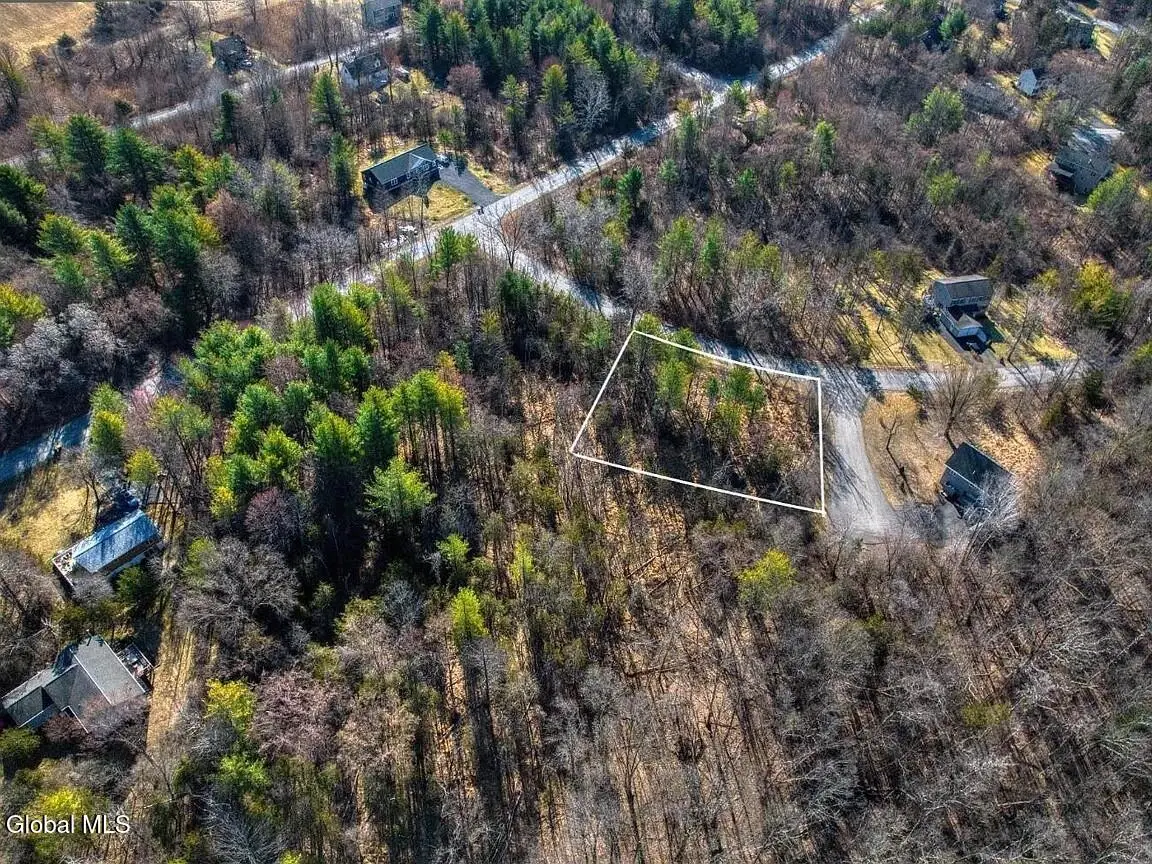 L38 Yost Court, Sleepy Hollow Lake, NY 12015 - #1