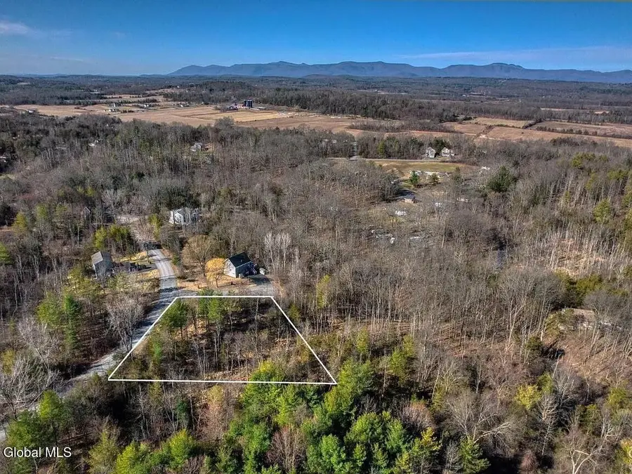 L38 Yost Court, Sleepy Hollow Lake, NY 12015 - #2