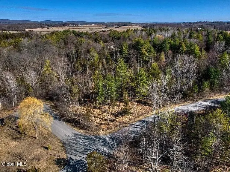 L38 Yost Court, Sleepy Hollow Lake, NY 12015 - #3