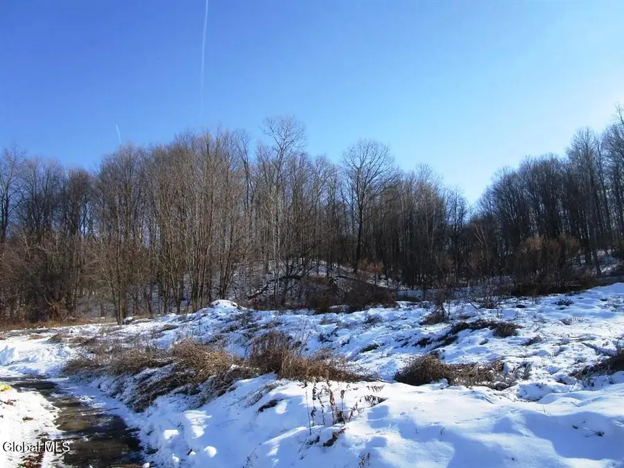 46 Michigan Street, Mohawk, NY 13407 - #3