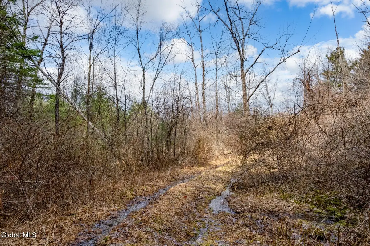 L3 Mcgill Road, Nassau, NY 12062 - #1