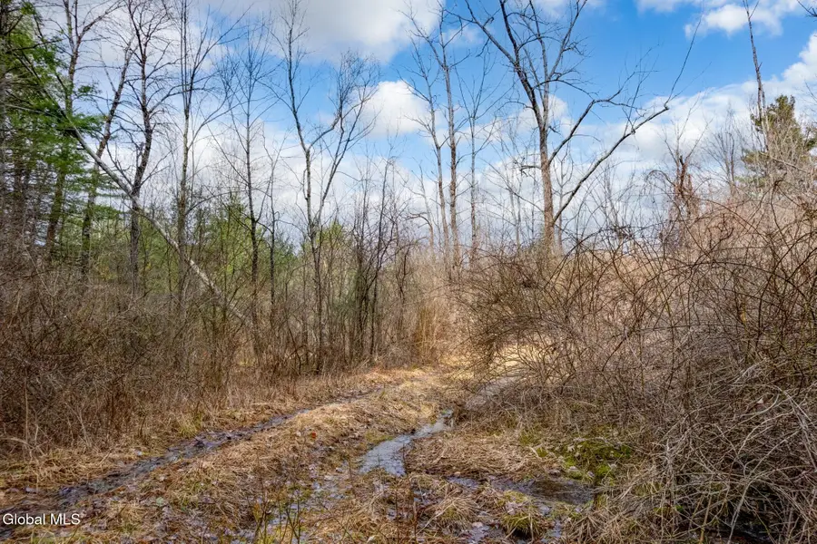 L3 Mcgill Road, Nassau, NY 12062 - #2