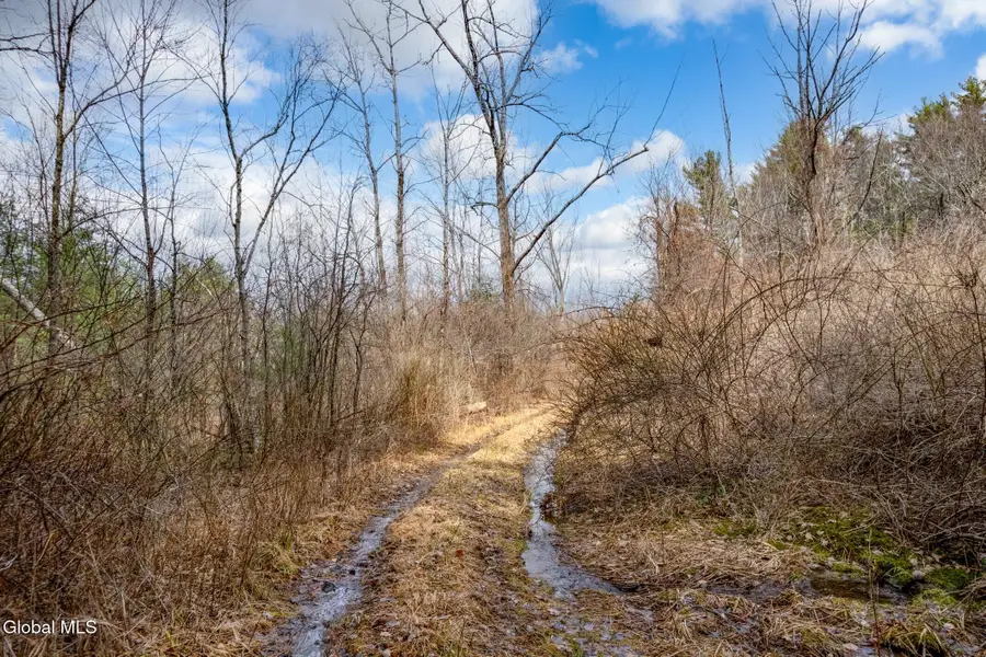 L3 Mcgill Road, Nassau, NY 12062 - #3