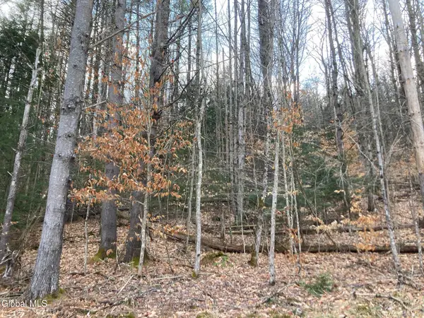 652 New Vermont Road, Bolton, NY 12814