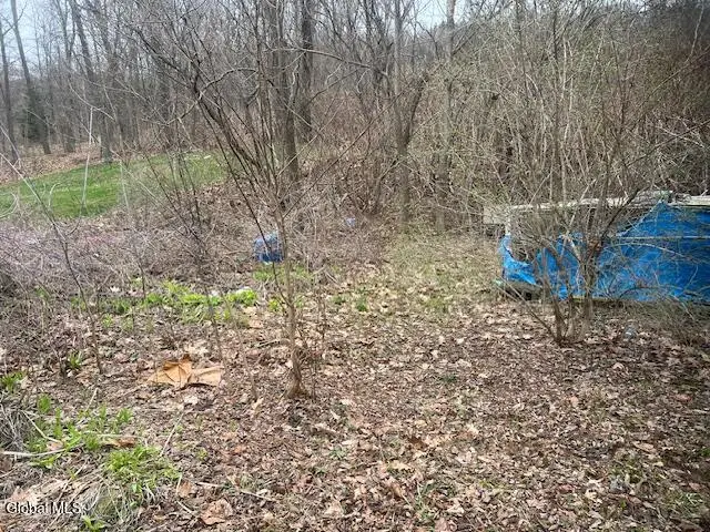 L-4 State Route 203 Street, Austerlitz, NY 12184 - #2