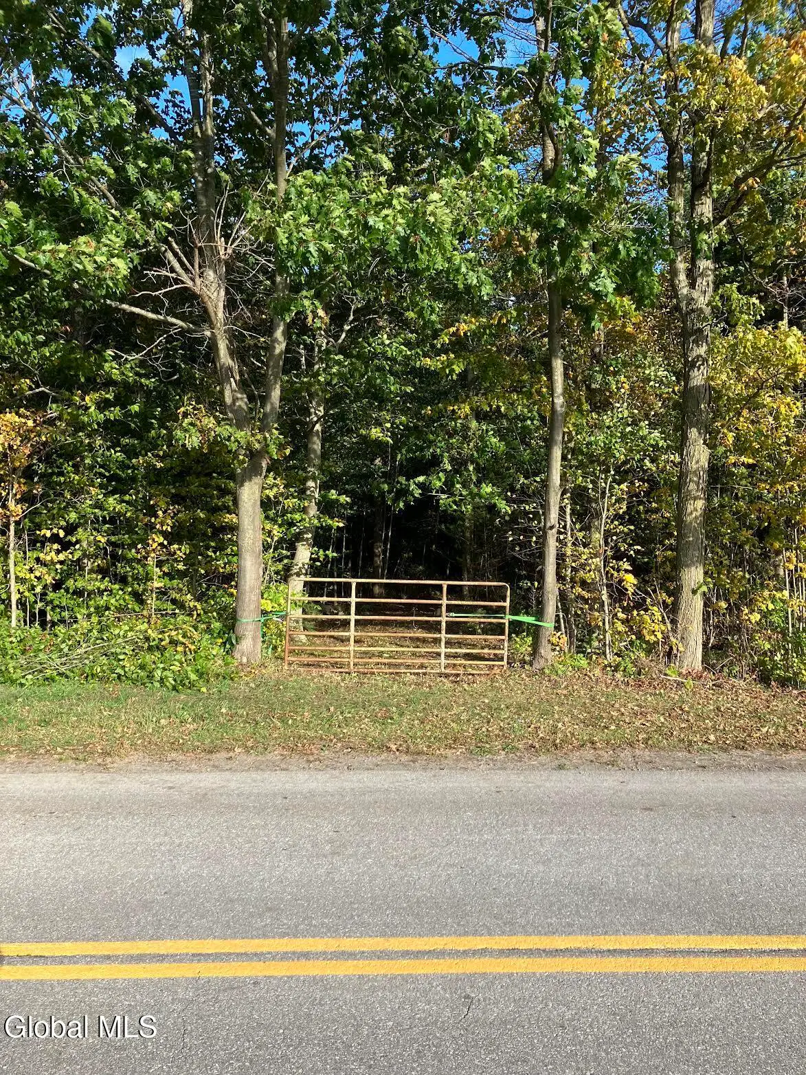 L24.12 Oswegatchie Road, Palatine Bridge, NY 13428 - #1