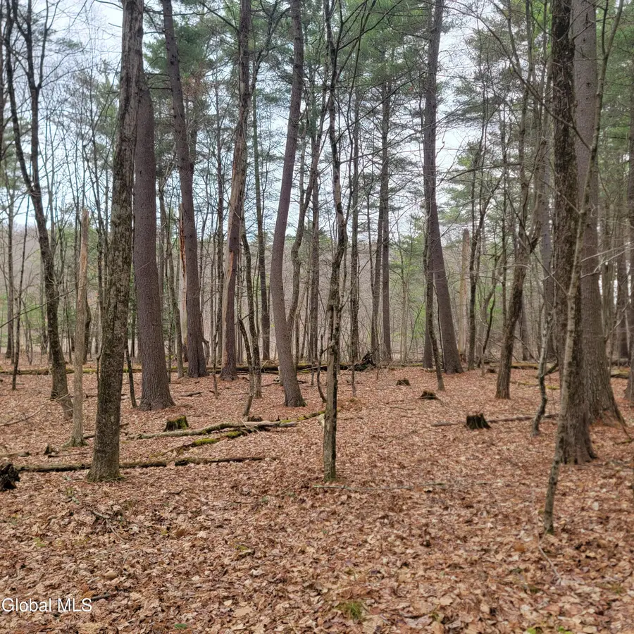 L47 Coldwater Tavern Road, East Nassau, NY 12062 - #3