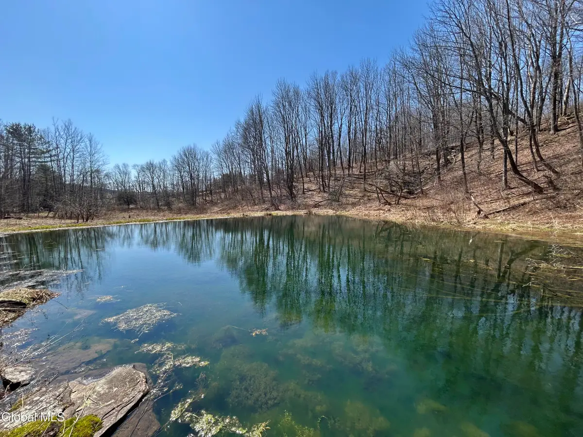 137 Easy Street, Jefferson, NY 12167 - #1