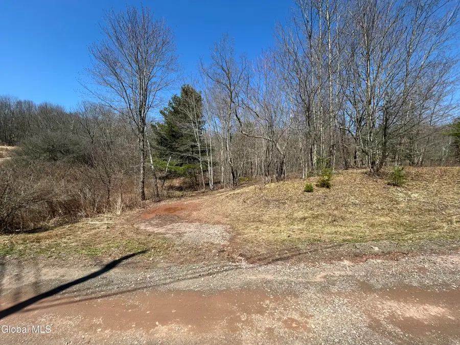 137 Easy Street, Jefferson, NY 12167 - #2