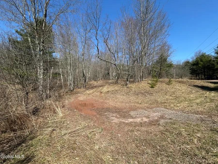 137 Easy Street, Jefferson, NY 12167 - #3