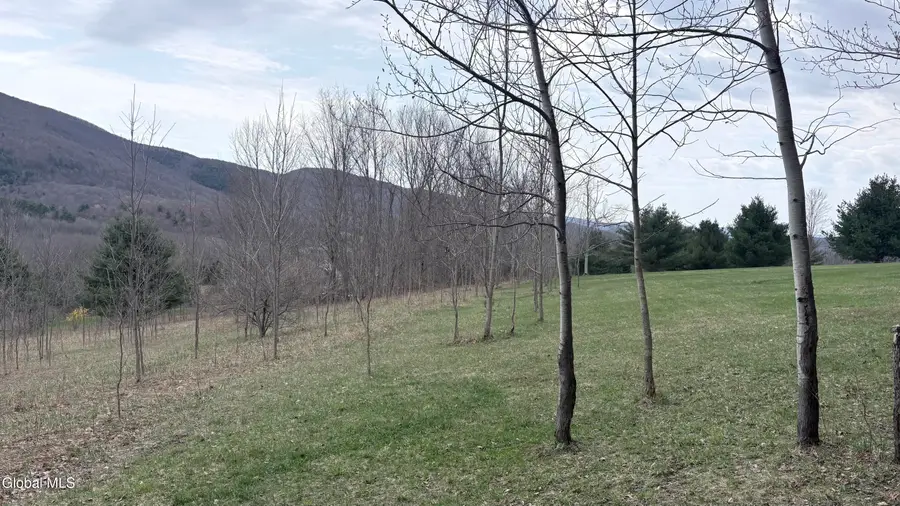 60 Nora Way, Stephentown, NY 12168 - #3