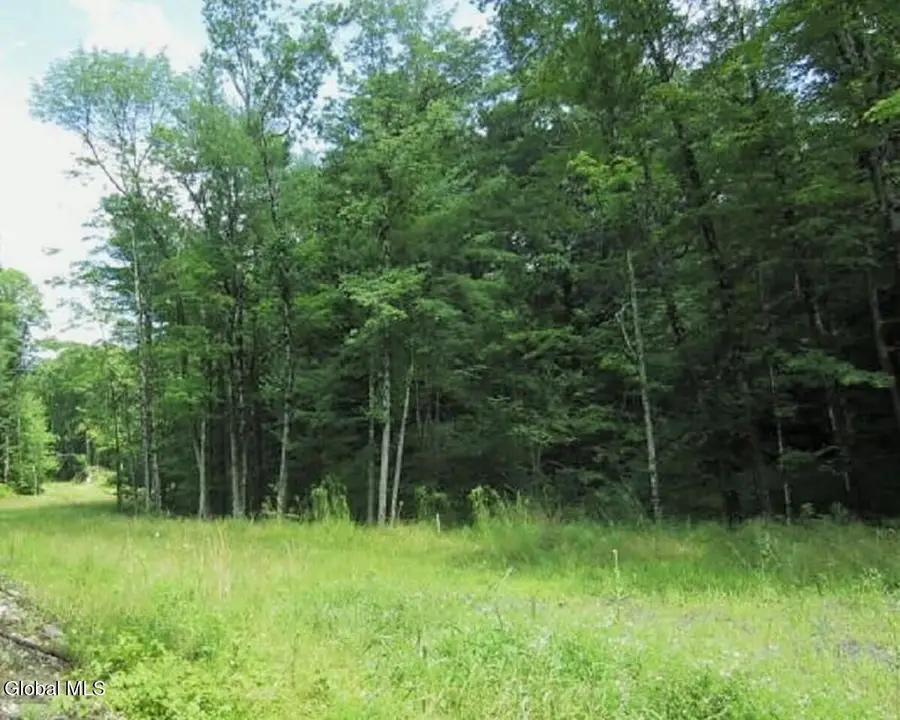 10 Jasmine Road, Stephentown, NY 12168 - #3