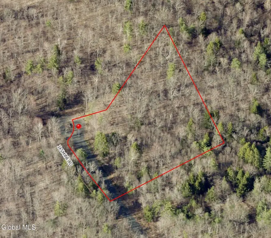 12 Jasmine Road, Stephentown, NY 12168 - #3