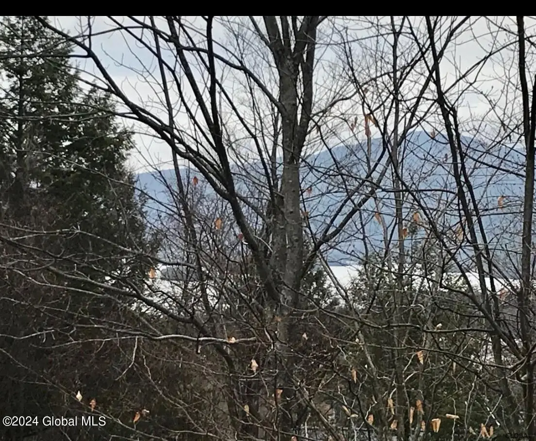 8 Lake Ridge Road, Bolton, NY 12814 - #1