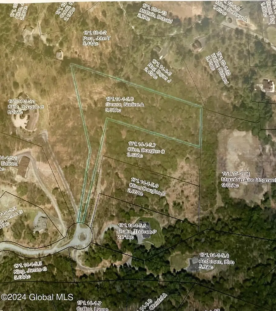 8 Lake Ridge Road, Bolton, NY 12814 - #3