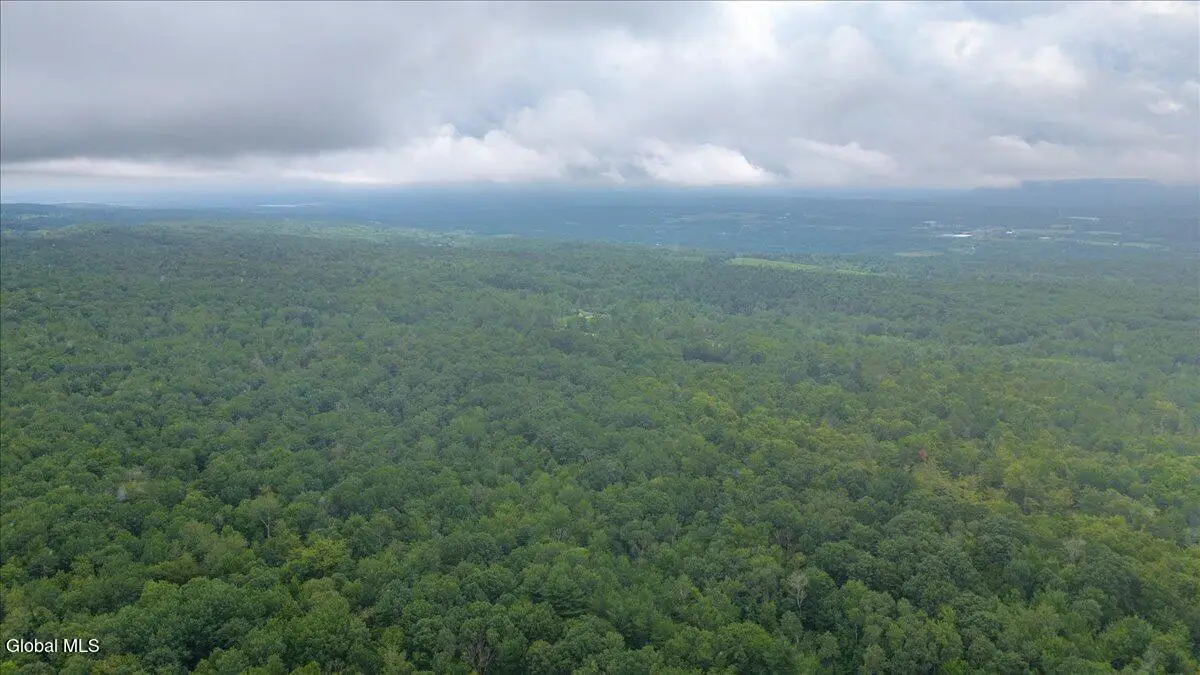 181 Liddle Road #Lot 2, Duanesburg, NY 12056 - #1