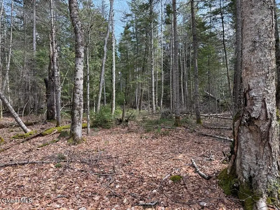 L34.1 Youngs Road #1, Olmstedville, NY 12870 - #1