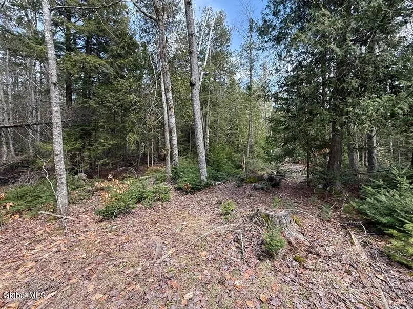 L34.1 Youngs Road #1, Olmstedville, NY 12870 - #2