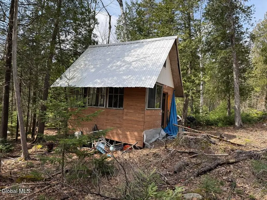 L34.1 Youngs Road #1, Olmstedville, NY 12870 - #3