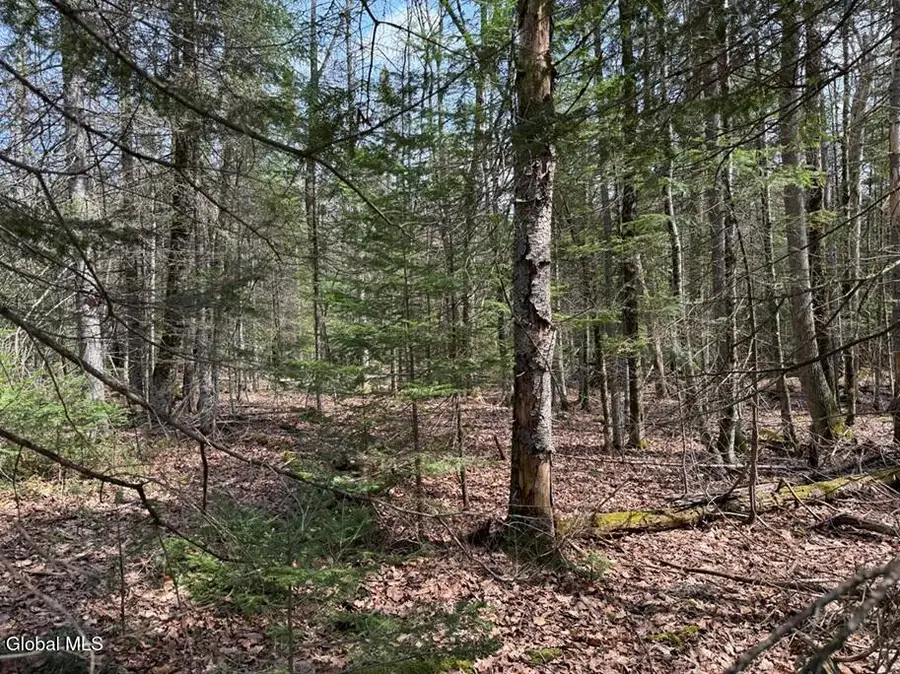 L34.3 Youngs Road #3, Olmstedville, NY 12870 - #3