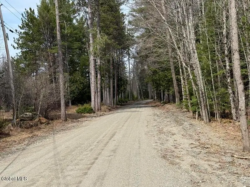 L34.4 Potash Hill Road #4, Olmstedville, NY 12870 - #3