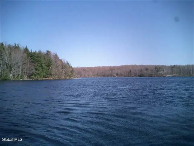 492 Pond View Way, Petersburgh, NY 12138 - #2