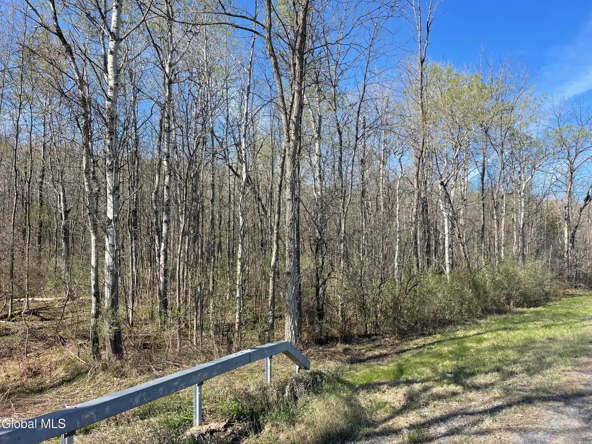 Lot 26 Highway Route 20, Sharon Springs, NY 13459 - #1