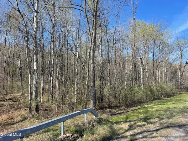 Lot 26 Highway Route 20, Sharon Springs, NY 13459