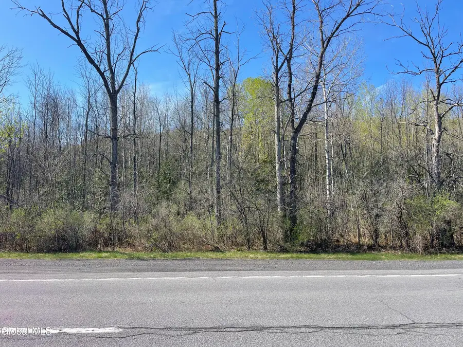 Lot 26 Highway Route 20, Sharon Springs, NY 13459 - #2