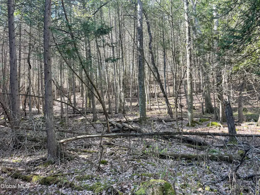 Lot 26 Highway Route 20, Sharon Springs, NY 13459 - #3