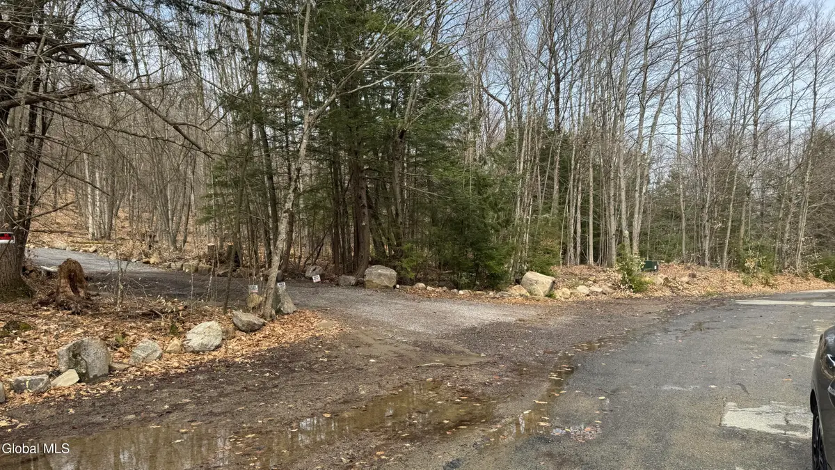 4 Spring Wood, Lake George, NY 12845 - #1