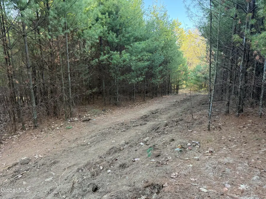 L22.2 Cameron Road, Athol, NY 12810 - #2